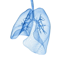 Lungenkarzinom